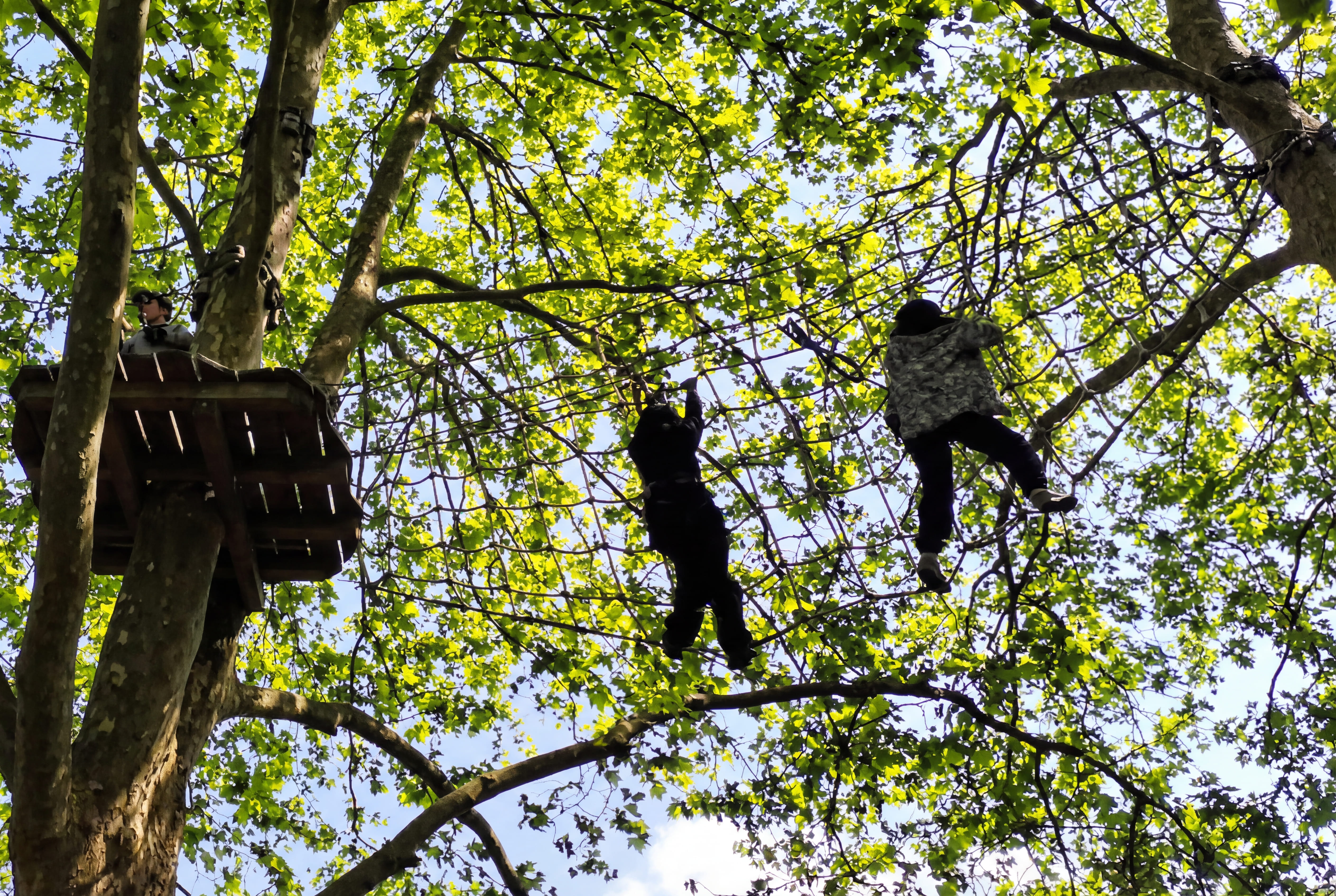 Journée Accrobranche – Édition 2